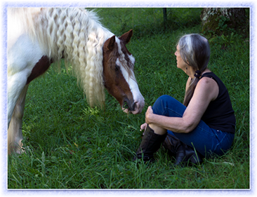 Ashie, Gypsy Vanner horse